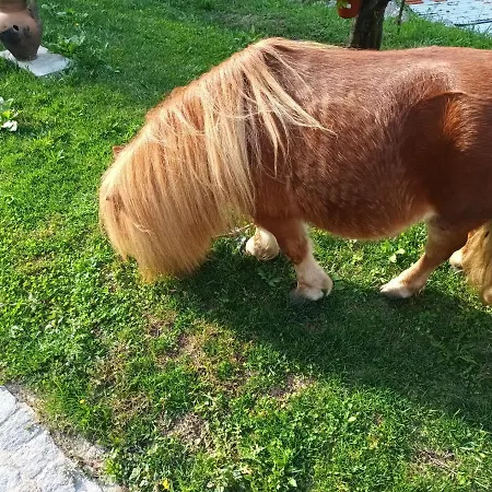 Casa De Ferrapilhe Сasa de vacaciones Paranhos (Amares)