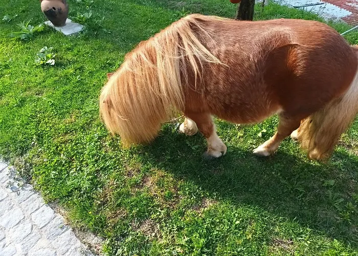 Casa De Ferrapilhe Prázdninový dům Paranhos (Amares)